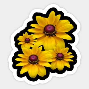 yellow blooming coneflowers, flowers, petals, floral, Sticker